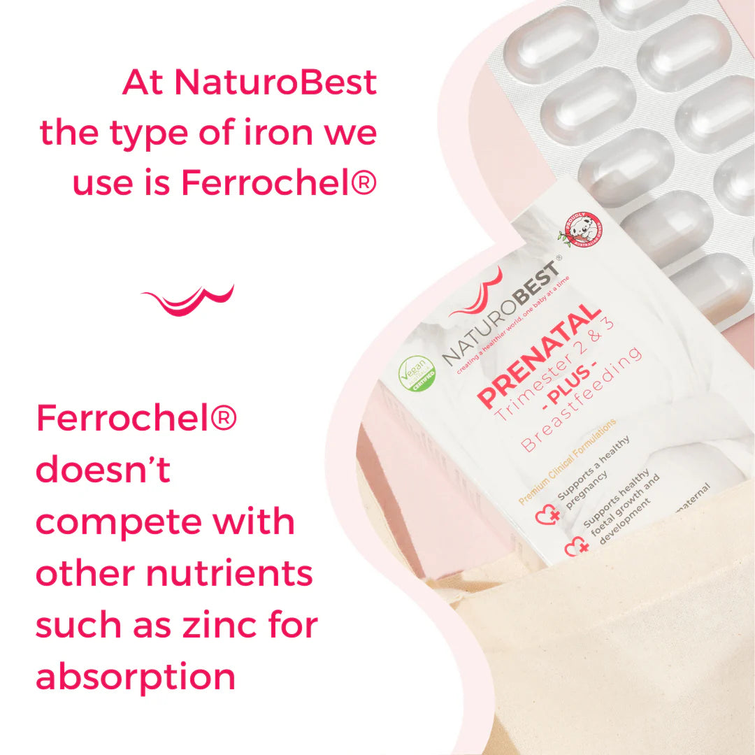 NaturoBest Prenatal Trimester 2 & 3 Plus Breastfeeding | Premium Multivitamin & Multimineral