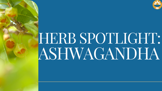 herb spotlight ashwagandha adaptogen