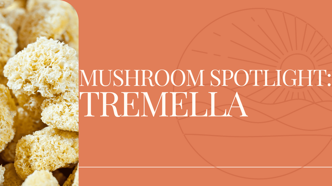 Mushroom Highlight - Tremella