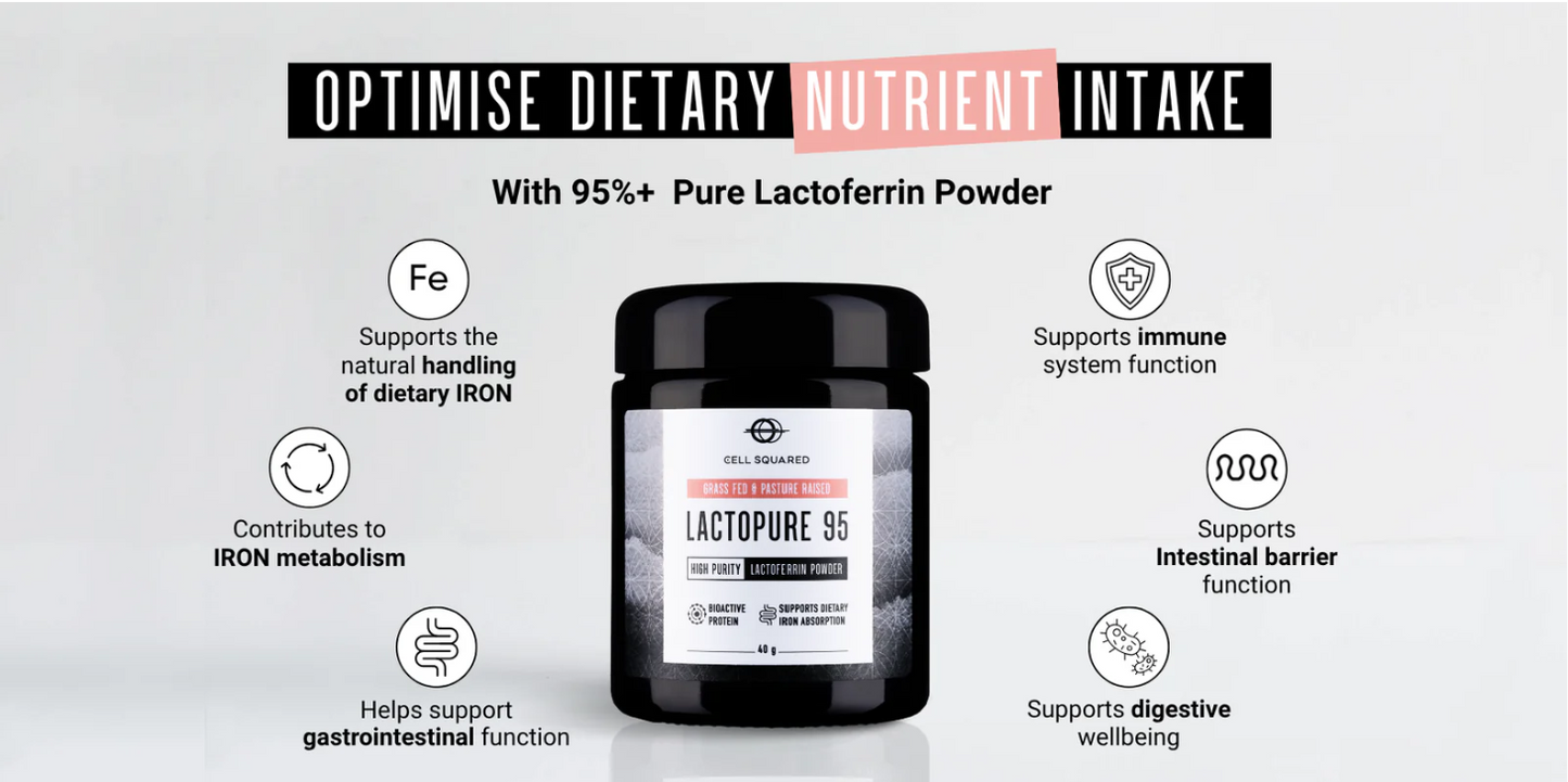 LactoPure 95 | High Purity Lactoferrin Powder | 40g