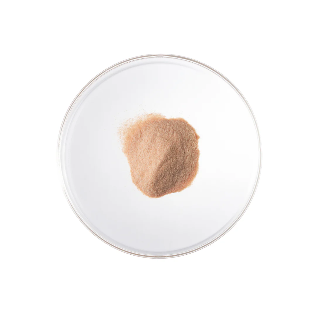LactoPure 95 | High Purity Lactoferrin Powder | 40g