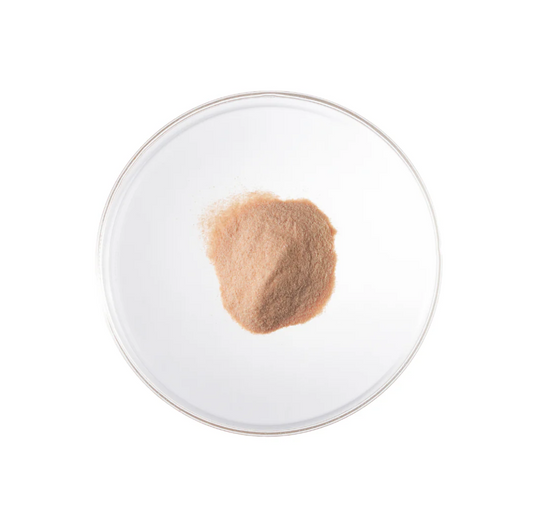 LactoPure 95 | High Purity Lactoferrin Powder | 40g
